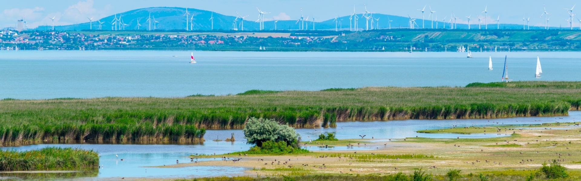eFoil Neusiedler See