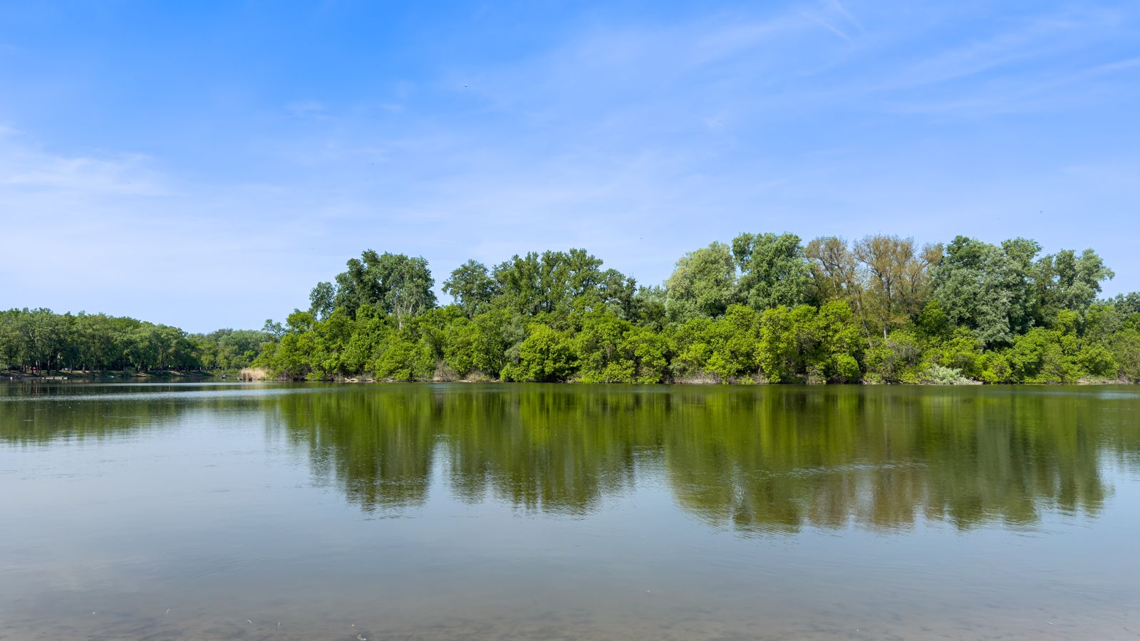 Lago de agua lisa con árboles en la orilla