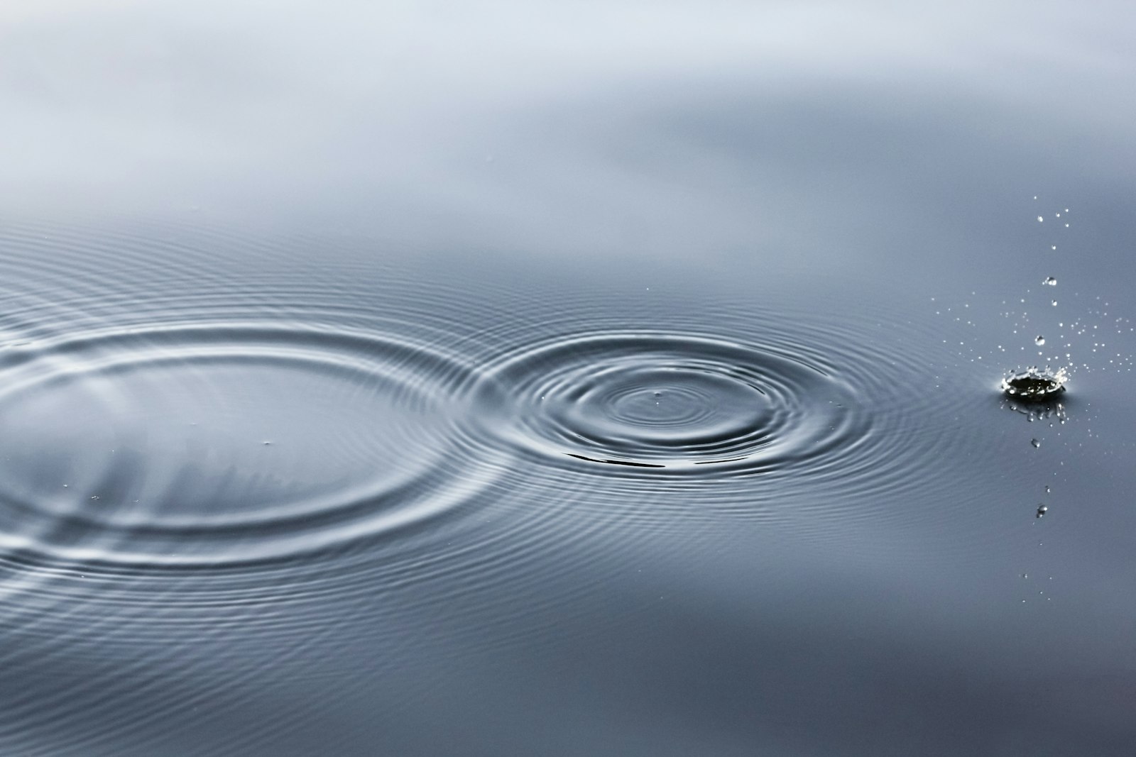 Ronds concentriques sur une eau lisse et grise (photo d’illustration, prise hors du Léman)