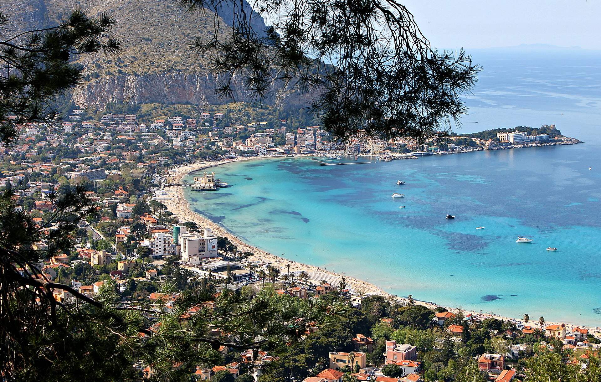 Mondello vista dal Monte Pellegrino fra i rami di un pino, con la lunga spiaggia, il mare turchese con barche all’ancora, lo stabilimento sull’acqua e il paese ai piedi della montagna