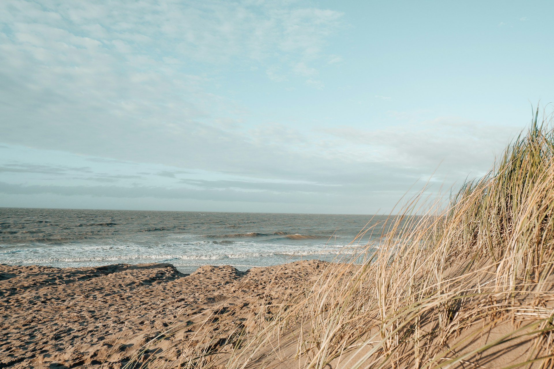 Dry beach grass on a sand dune above a white Atlantic surf line; an illustration, not a photo of Long Island