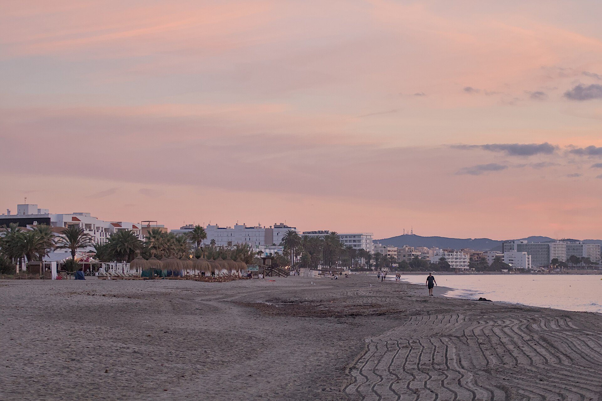 Platja d’en Bossa on Ibiza at dawn under a pink sky, raked sand, straw parasols, palms and white hotels along a calm sea