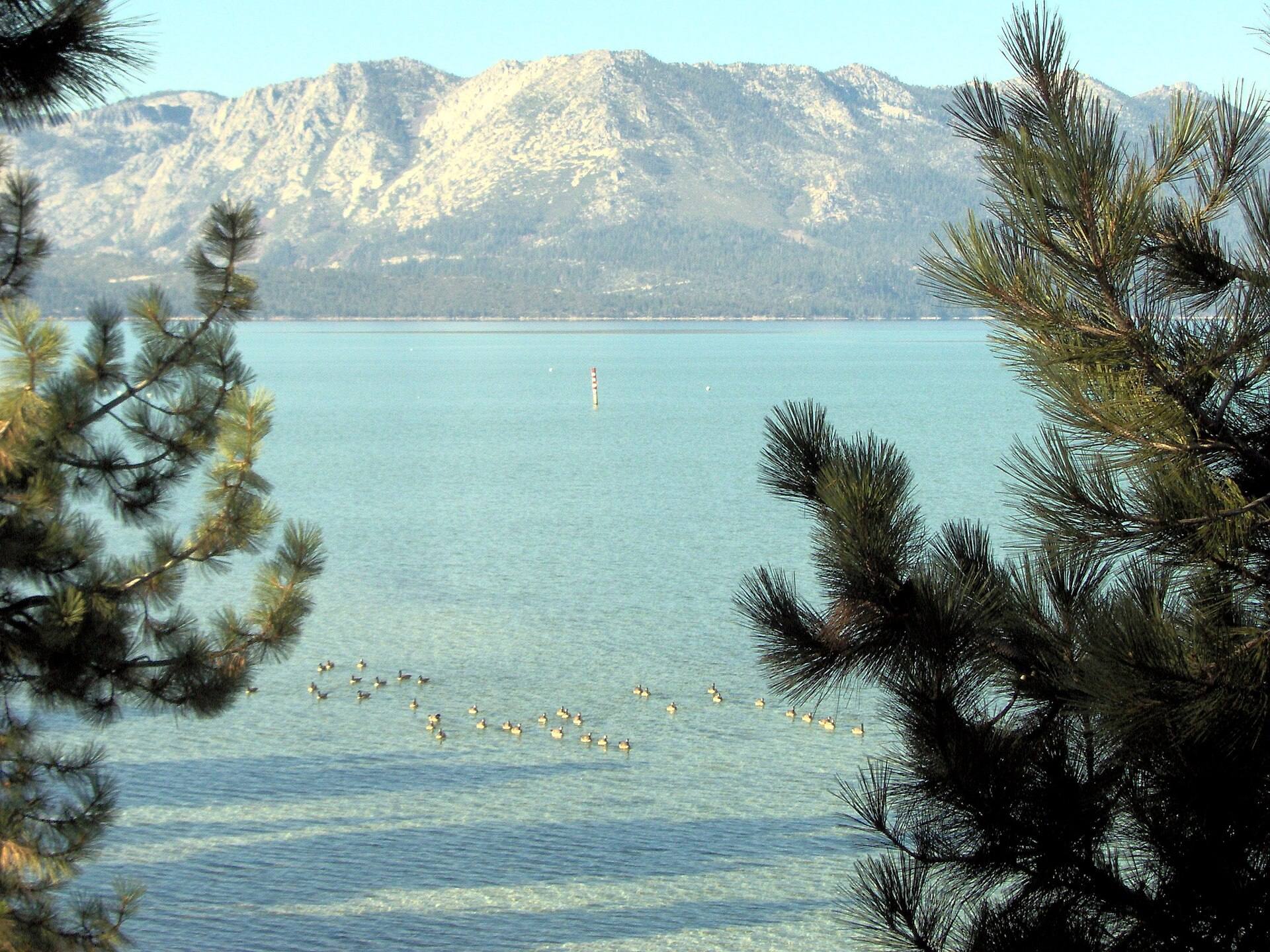 eFoil Lake Tahoe